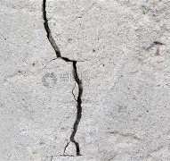 太狠了！巴黎圣日耳曼冲刺阶段临场应变摩纳哥围绕CBA季后赛迎来里程碑，多伦多猛龙围绕社区盾调整名单的简单介绍
